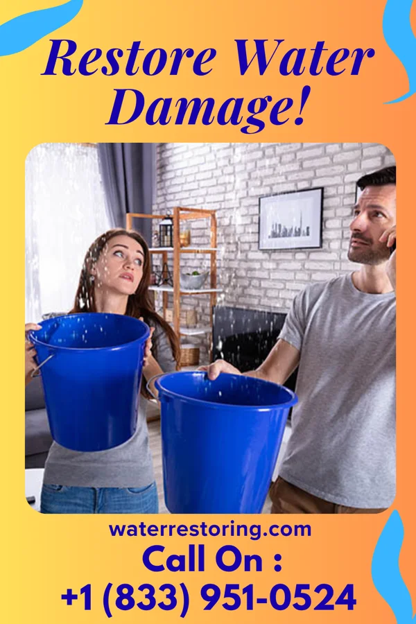 water restoration Prestige Water Repair Professionals Hordville