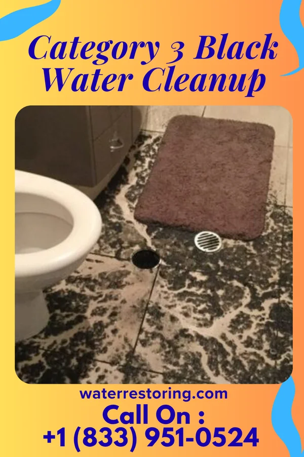 Category 3 Black Water Cleanup in Hordville, NE