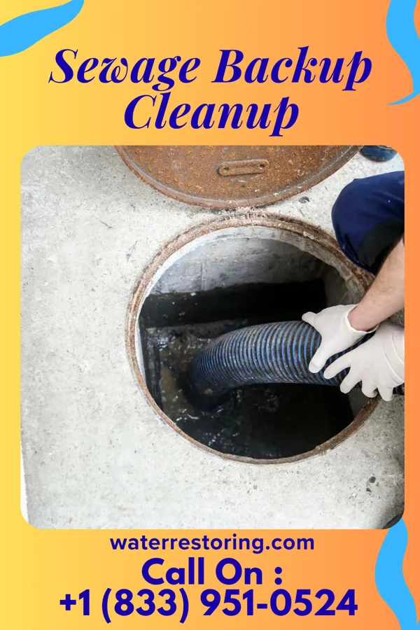 Sewage Backup Cleanup in Hordville, NE