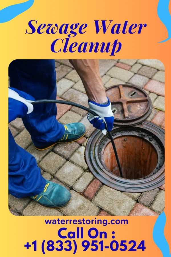 Sewage Water Cleanup in Hordville, NE